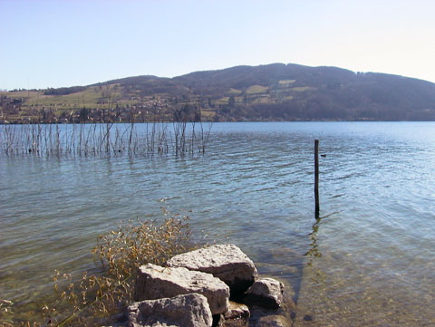 détail lac de paladru.JPG